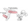 Женский страпон с вагинальной пробочкой - 17 см.