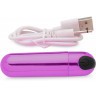 Лиловая вибропуля 10X Rechargeable Vibrating Metallic Bullet